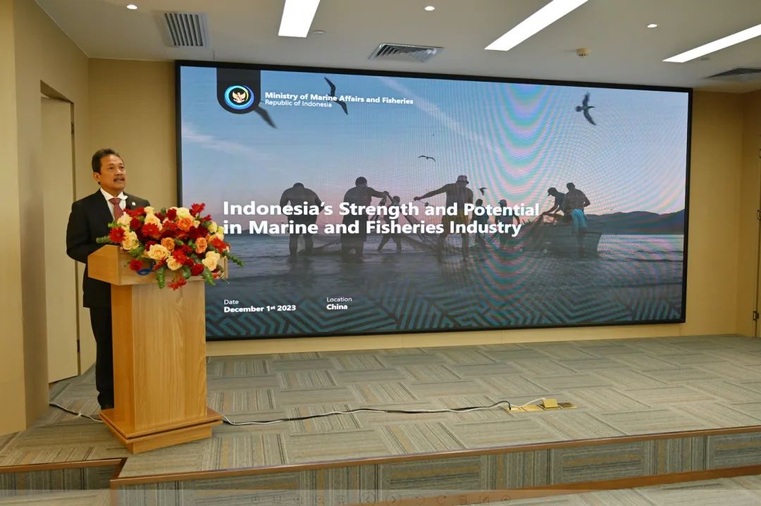 1702020854291212.jpg X4.jpg