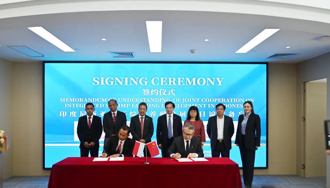 1702020866903475.jpg X5.jpg